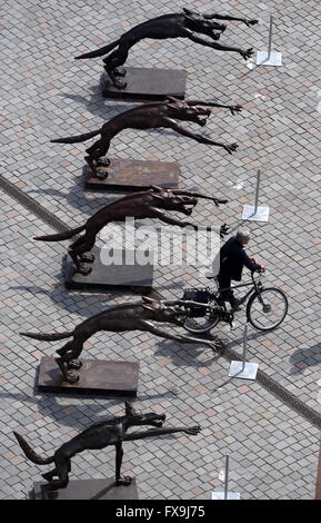 Potsdam, Germania. Xiii Apr, 2016. Un cyclisdt passa su una fila di 63 sculture intitolata 'Wolfsmenschen' (lit. Wolf persone) dall artista Rainer Opolka presso la Alte Markt square a Potsdam, Germania, 13 aprile 2016. " Il pacco di lupi stand simbolicamente per 'odio la gente, tubi espulsori di arson, Neonazis, adirato contro i sostenitori di Pegida AfD e che vogliono sparare ai rifugiati', Opolka ha spiegato le sue opere d'arte. Le sue sculture sono state precedentemente sul display alla chiesa Frauenkirche di Dresda. Foto: Ralf Hirschberger/dpa/Alamy Live News Foto Stock