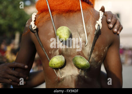 Dacca in Bangladesh. Xiii Apr, 2016. Un indù del Bangladesh devoto si prepara per appendere su una fune con ganci trafitto nel suo ritorno come parte di un rituale durante il Charak Puja festival a Dhaka, nel Bangladesh © Suvra Kanti Das/ZUMA filo/Alamy Live News Foto Stock