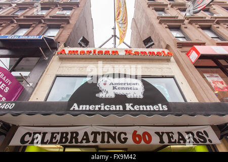 American canili pet shop, Lexington Avenue, New York City, Stati Uniti d'America Foto Stock