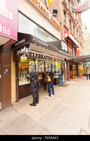 American canili pet shop, Lexington Avenue, New York City, Stati Uniti d'America Foto Stock