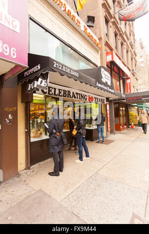 American canili pet shop, Lexington Avenue, New York City, Stati Uniti d'America Foto Stock