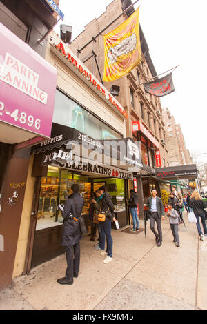 American canili pet shop, Lexington Avenue, New York City, Stati Uniti d'America Foto Stock