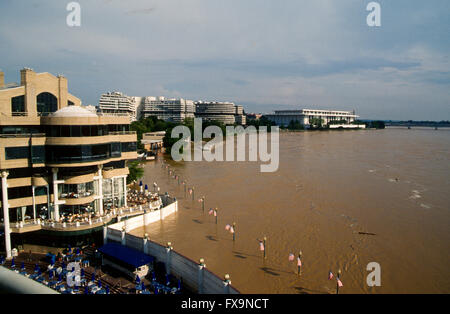 Washington, DC, Stati Uniti d'America, 9 settembre, 1996 Il fiume Potomac in fase di allagamento al porto di Washington. Ciò è seguito dalla pioggia da uragano Fran. Il giorno prima del diluvio il manometro a harpers Ferry W.VA è stata misurata in oltre 29.80 piedi. L'alluvione pareti a Washington Harbour appartamento sono state sollevate. Credito: Mark Reinstein Foto Stock