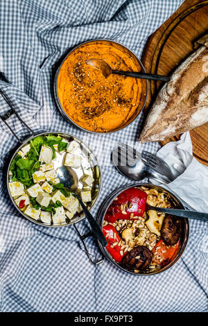 Arrosto di verdure, carota hummus, e tofu con erbe in acciaio il pranzo nelle caselle sulla coperta picnic. Vista superiore Foto Stock