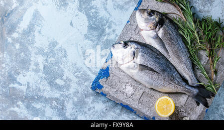 Due pronti per cucinare materie orate di pesce con erbe e limone su calcestruzzo bordo blu su sfondo a trama. Con copia spazio. Vista superiore Foto Stock