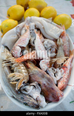 Assortimento di pesce azzurro per preparare una zuppa di mare con misto di pesce Foto Stock