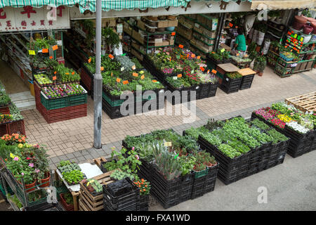 Il mercato dei fiori di strada a Kowloon in Hong Kong, Cina, visto dall'alto. Foto Stock