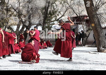 Discutendo di monaci al Monastero di Sera a Lhasa, in Tibet Foto Stock