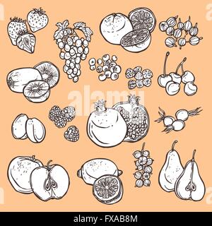 Frutti e bacche di schizzo icone Illustrazione Vettoriale