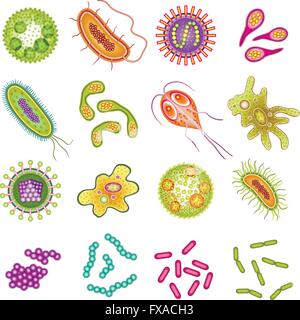 I batteri e le cellule del virus Illustrazione Vettoriale