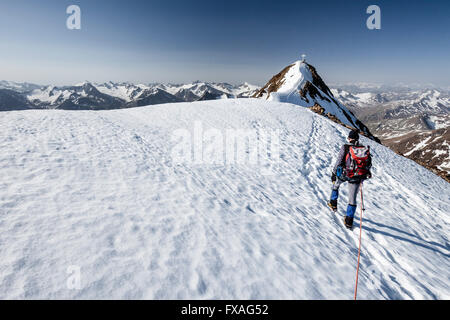 Alpinista, salita al vertice della cresta del Wildspitze, nordest ridge, Venter Valley, sfiato, Soelden's Oetztal Oetztal Alpi Foto Stock
