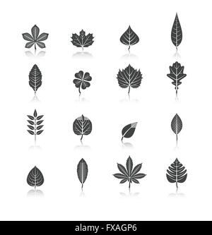 Foglie di piante di nero set di icone Illustrazione Vettoriale