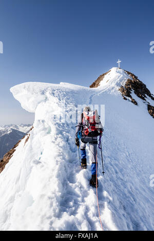 Alpinista in arrampicata la neve sulla Wildspitze sulla cresta del vertice con il cornicione di neve, di sfiato, Soelden's Oetztal Oetztal Alpi Foto Stock