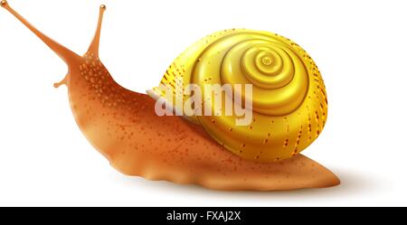 Lumaca isolato realistica Illustrazione Vettoriale