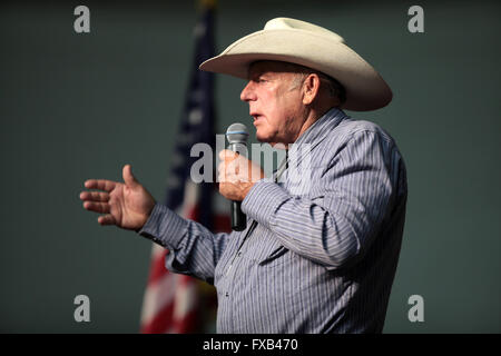 American bovini rancher e anti-governo Cliven attivista Bundy parla durante un forum ospitato dall'Accademia Americana per l'istruzione costituzionale presso il Burke scuola di base Luglio 22, 2014 in Mesa, Arizona. Foto Stock