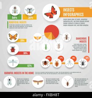 Insetti ed infografico impostato Illustrazione Vettoriale