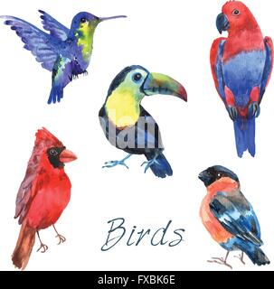 Esotici uccelli tropicali acquerello set di icone Illustrazione Vettoriale