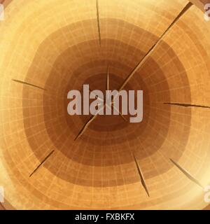 Legno sezione sfondo Illustrazione Vettoriale