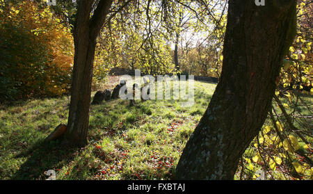 Vecchio Cimitero Ebraico Liten in Repubblica Ceca Foto Stock