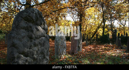 Vecchio Cimitero Ebraico Liten in Repubblica Ceca Foto Stock