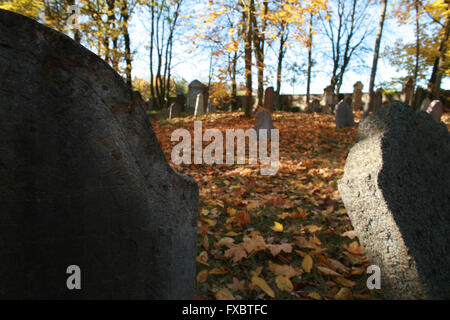 Vecchio Cimitero Ebraico Liten in Repubblica Ceca Foto Stock