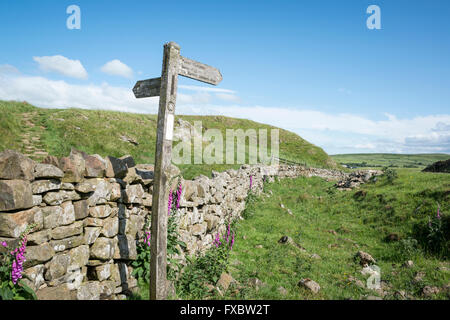 Sign posti lungo il vallo di Adriano, Northumberland Foto Stock