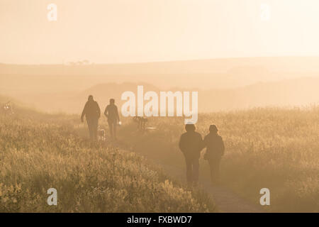 Passeggiate lungo le scogliere a Seahouses, Northumberland Foto Stock