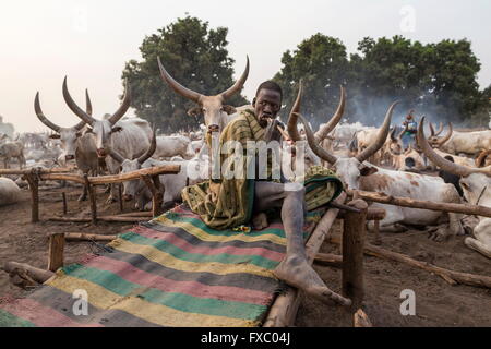 Il sud Sudan. Il 23 febbraio, 2016. Un uomo Mundari si sveglia accanto ai suoi animali e spazzole i suoi denti con un bastone. Ankole-Watusi, noto anche come Ankole Longhorn, o "I bovini dei Re' è un 900 a 1,600 libbra specie razza bovina nativa dell Africa con segni distintivi di corna che può arrivare fino a 8 m di altezza. © Tariq Zaidi/ZUMA filo/ZUMAPRESS.com/Alamy Live News Foto Stock