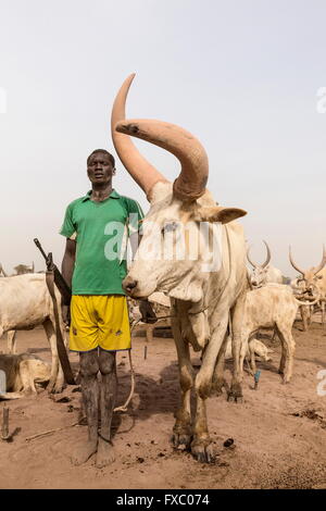 Il sud Sudan. Il 23 febbraio, 2016. Un Mundari l uomo sta con il suo fucile accanto al suo bene più prezioso il suo animale. Ankole-Watusi, noto anche come Ankole Longhorn, o "I bovini dei Re' è un 900 a 1,600 libbra specie razza bovina nativa dell Africa con segni distintivi di corna che può arrivare fino a 8 m di altezza. © Tariq Zaidi/ZUMA filo/ZUMAPRESS.com/Alamy Live News Foto Stock