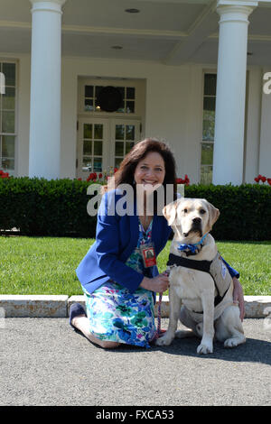 Aprile 14, 2016 - Washington, Distretto di Columbia, Stati Uniti - 4/14/16-La Casa Bianca - Washington DC..Bunce, un cane di assistenza in materia di formazione per i combattenti feriti e news reporter e trainer Andrea McCarren fare una visita alla Casa Bianca. ..Foto da: - ImageCatcher News (credito Immagine: © Christy Bowe/Globe foto via ZUMA filo) Foto Stock