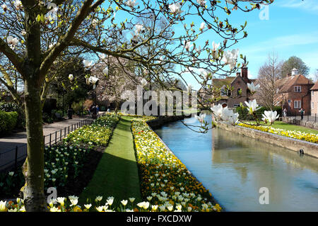 Westgate punting area nella città di Canterbury il grande fiume stour in East Kent REGNO UNITO aprile 2016 Foto Stock