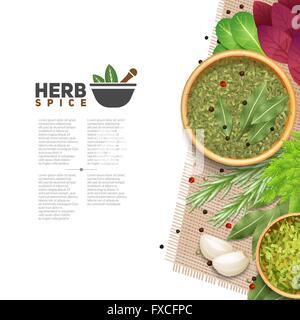 Erbe aromatiche spezie condimento alimentare POster informazioni Illustrazione Vettoriale