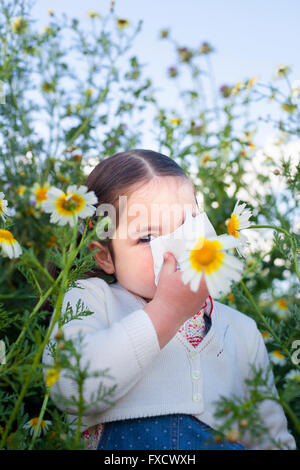 4 anno vecchia ragazza toddler starnuti ripetuti in un prato a margherita. Lei è allergico ai fiori Foto Stock