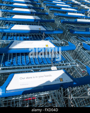 Lidl carrelli di shopping REGNO UNITO Foto Stock