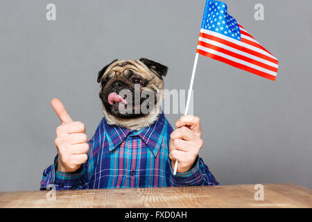 Uomo felice con il pug testa di cane in camicia a scacchi holding United States Flag e mostrando pollice in alto su sfondo grigio Foto Stock