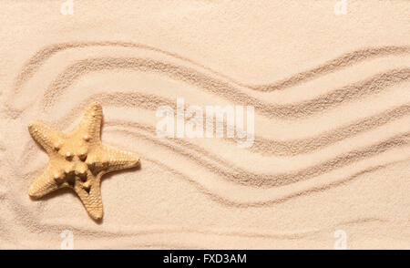 Starfish sulla sabbia con i contrassegni di onde. Estate spiaggia sfondo. Vista da sopra Foto Stock
