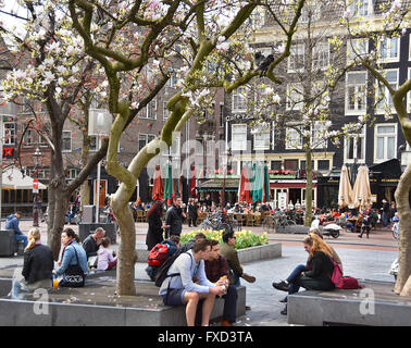 Rembrandtplein , Rembrandt Square, Amsterdam Olanda vita notturna e clubbing Paesi Bassi. Foto Stock