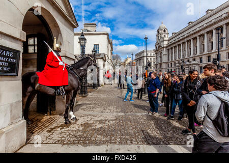 Montate i soldati della regina bagnino, Whitehall a Londra, Inghilterra Foto Stock