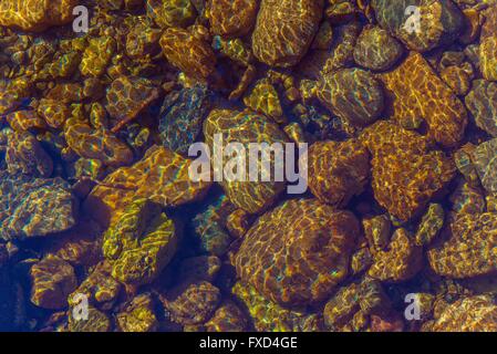 Golden rocce sotto acqua di ispirazione naturale dello sfondo della foto. Foto Stock