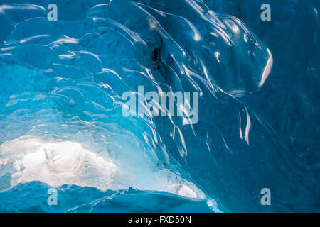 Blu ghiaccio nella caverna di ghiaccio all'interno Breidamerkurjokull, uscita del ghiacciaio Vatnajökull / Vatna ghiacciaio dell'Islanda Foto Stock