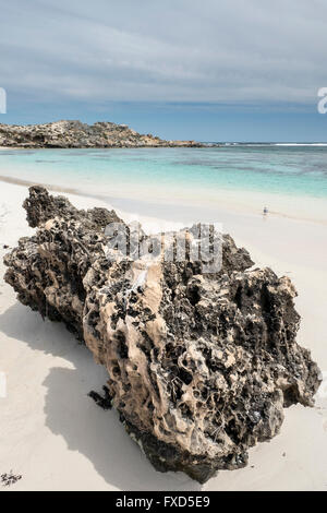 Rottnest Island (Wadjemup) un'isola al largo della costa occidentale dell'Australia 18k west di Freemantle Foto Stock