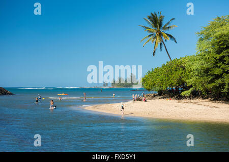 Stati Uniti d'America, Hawaii, Oahu, North Shore Haleiwa, Anahulu stream Foto Stock