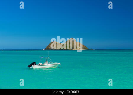 Stati Uniti d'America, Hawaii, Oahu Kailua, Lanikai Beach Foto Stock