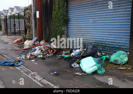 La spazzatura e spazzatura a sinistra in Cardiff back street, autorità locali non hanno le risorse per eliminare. Il 14 aprile 2016 Foto Stock