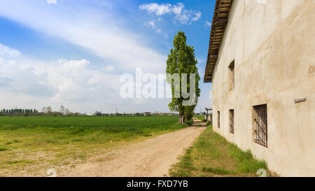 Strada di campagna e campi sullo sfondo del blu Foto Stock