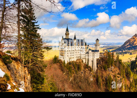 Il Castello di Neuschwanstein nel paesaggio invernale, Fussen, Germania Foto Stock