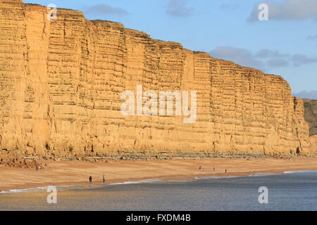 Scogliera di arenaria west bay dorset England Regno unito Gb Foto Stock