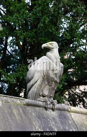 Avvoltoio pietra scultura sulla parete animale, Cardiff, South Glamorgan, Wales, Regno Unito Foto Stock