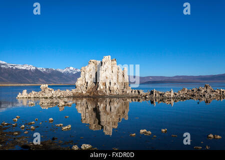 Maestose Torri di tufo emergenti dall'acqua al Lago Mono, California. Foto Stock