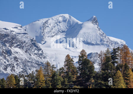 Findelntal in autunno con Strahlhorn nevoso e Adlerhorn, Zermatt, Vallese, Svizzera Foto Stock